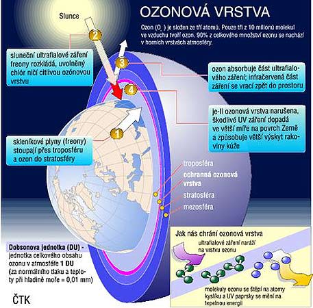 ozon_schema[1].jpg